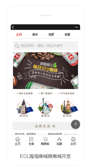 跨境电商小程序案例